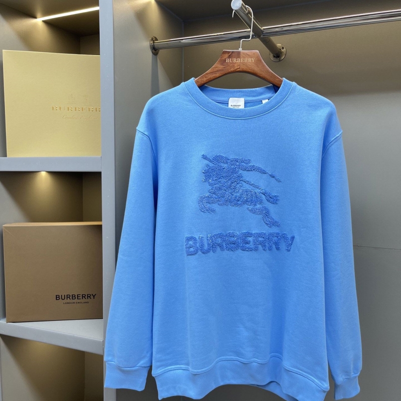 Other Hoodies